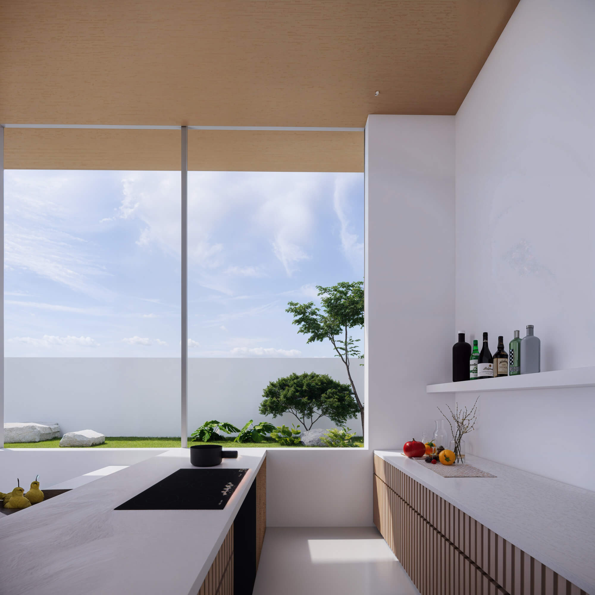 Counter kitchen with ocean view and wooden storage shelves